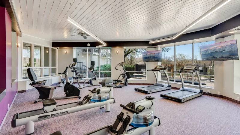Bright gym with two rowing machines, treadmills, ellipticals, stationary bikes, large windows, and wall-mounted TVs.