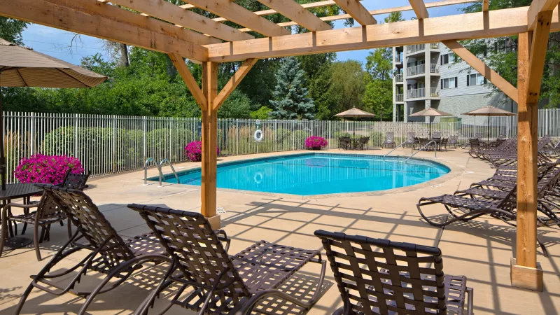 Sunny outdoor pool with lounge chairs under a wooden pergola, bordered by a fence and trees.