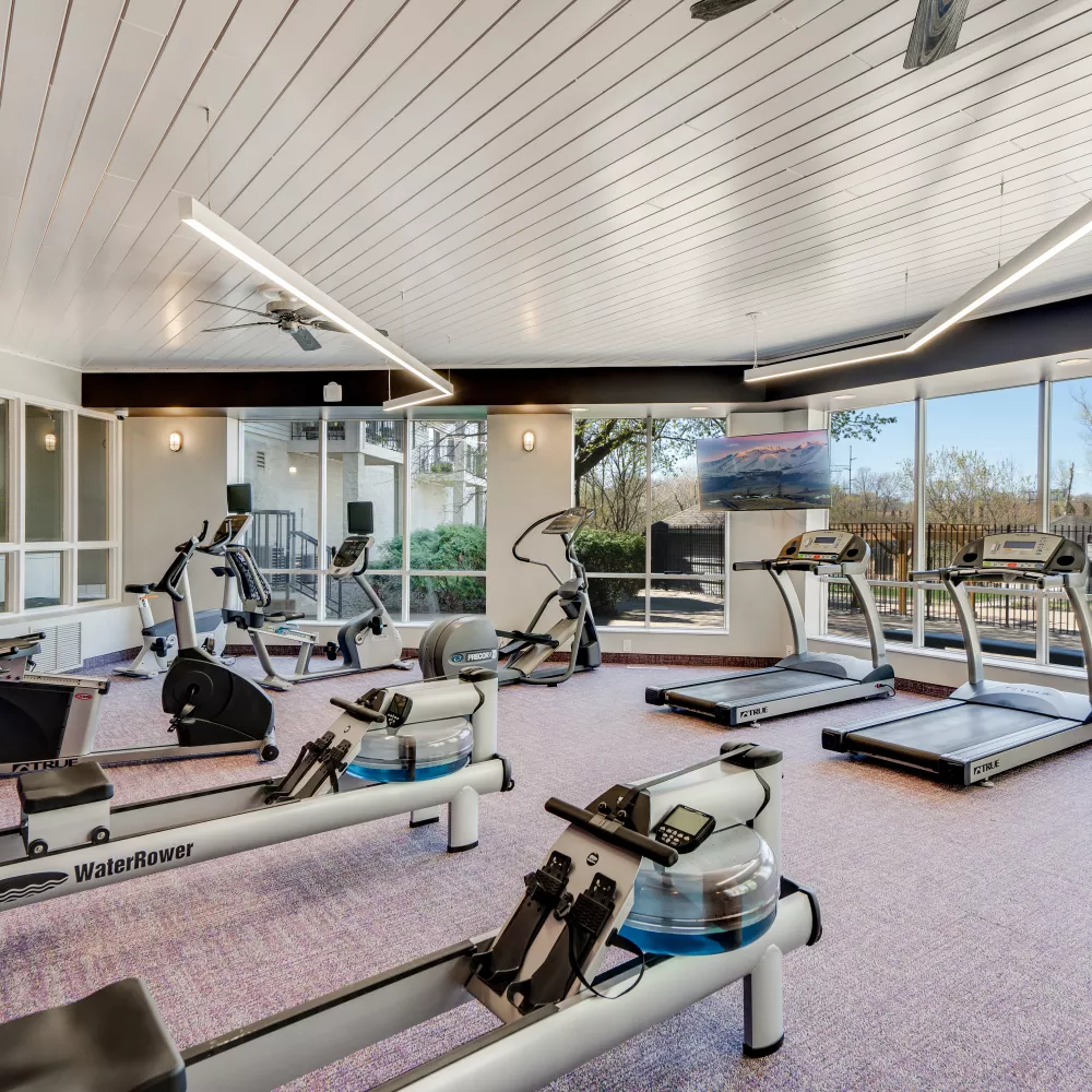 Bright gym with two rowing machines, treadmills, ellipticals, stationary bikes, large windows, and wall-mounted TVs.