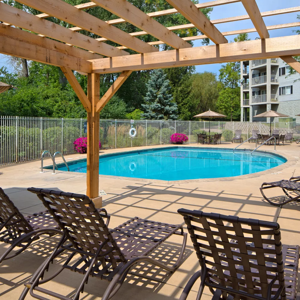 Sunny outdoor pool with lounge chairs under a wooden pergola, bordered by a fence and trees.
