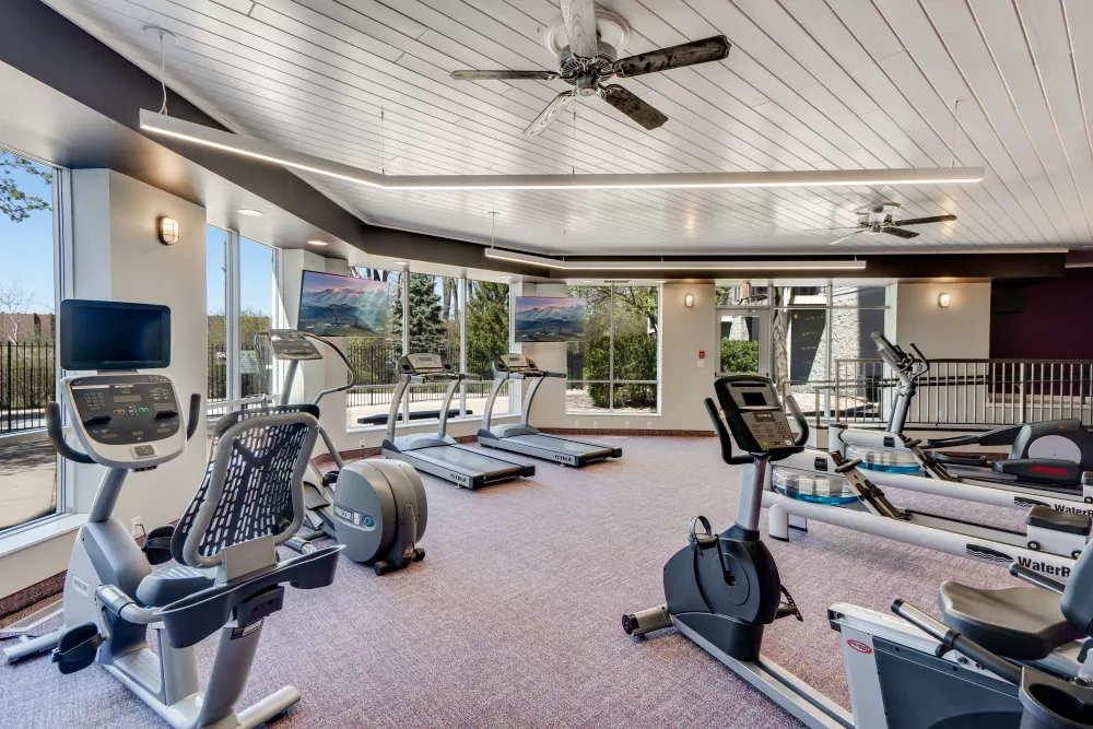 Well-lit indoor fitness center with treadmills, stationary bikes, ellipticals, and a rowing machine on purple carpet.