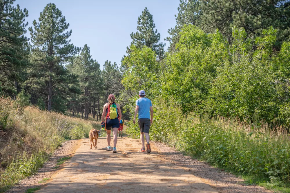 Two people and a dog walk on a sunny dirt path surrounded by tall trees and green foliage.