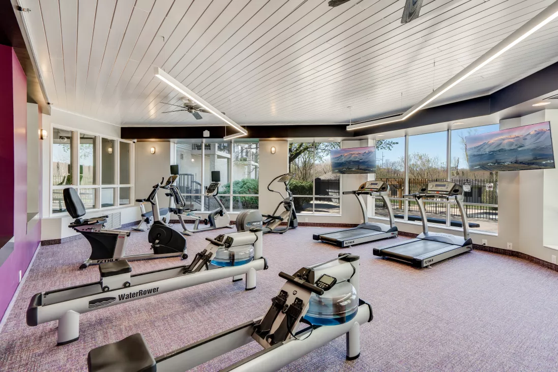 Bright, modern gym with rowing machines, treadmills, elliptical, and bikes on purple carpet, large windows.
